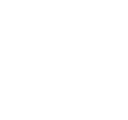 Bear Down Logo