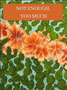 Book cover of Not Enough, Too Much